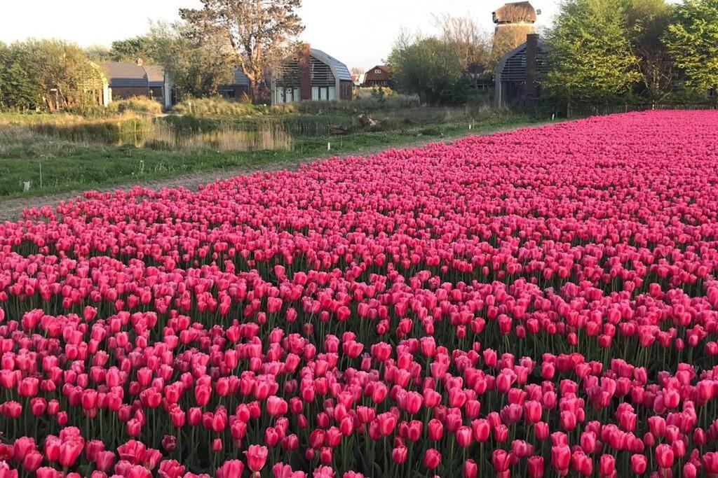 Villa Klein Geluk Egmond aan Zee Dış mekan fotoğraf