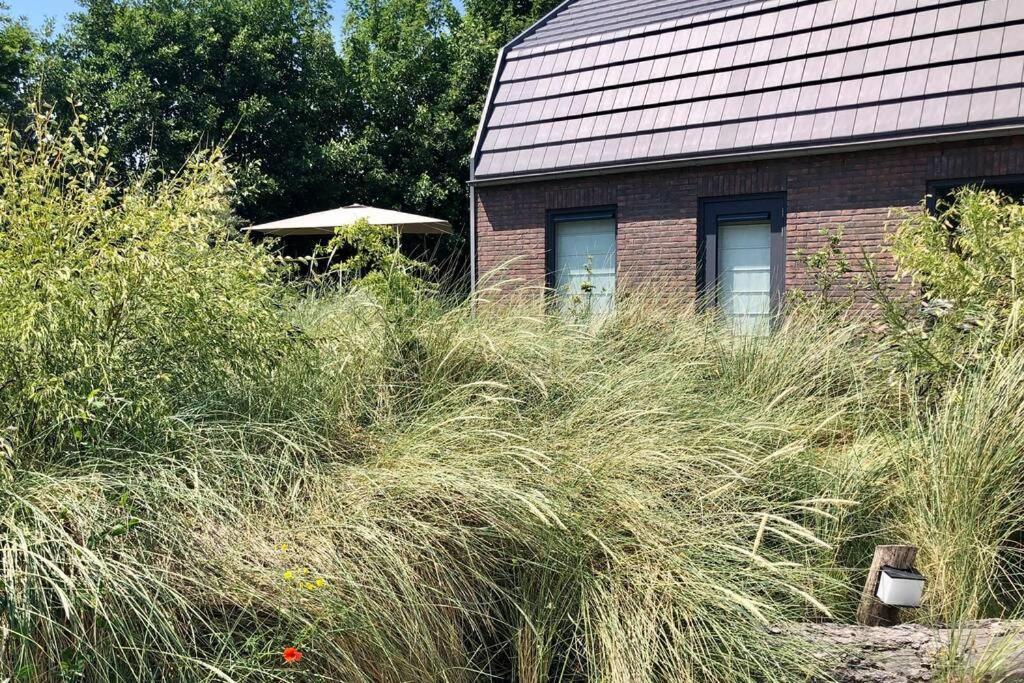 Villa Klein Geluk Egmond aan Zee Dış mekan fotoğraf